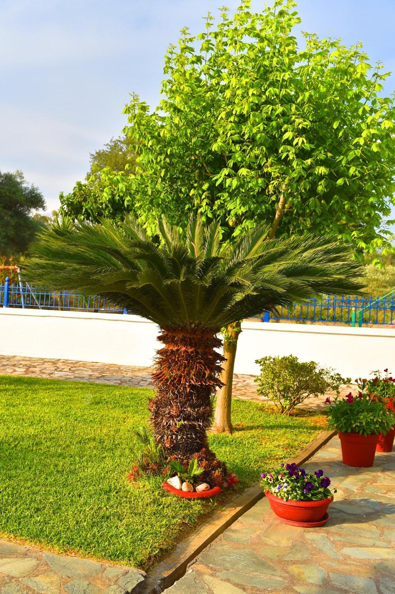 Villa Elpida Kanali  Exterior photo